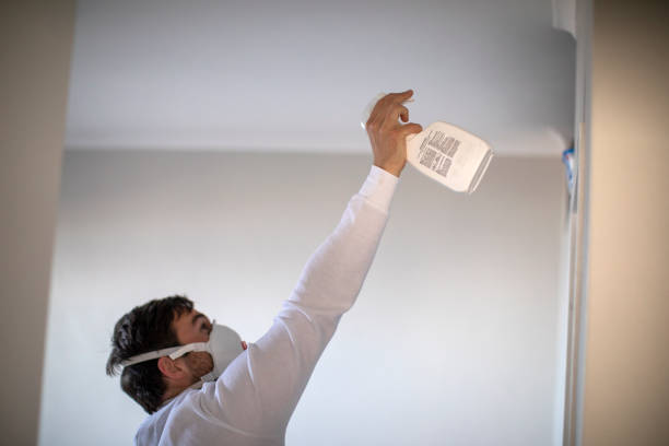 Certified Mold Removal in Towanda, PA