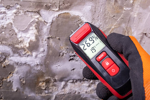 Best Black Mold Removal  in Towanda, PA